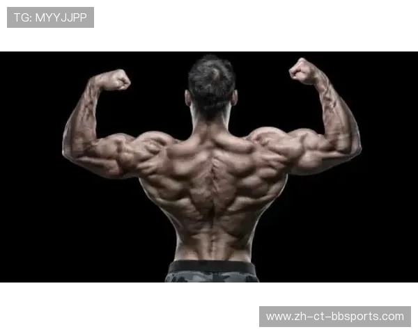 高拉力训练器如何提高全身肌肉耐力与力量